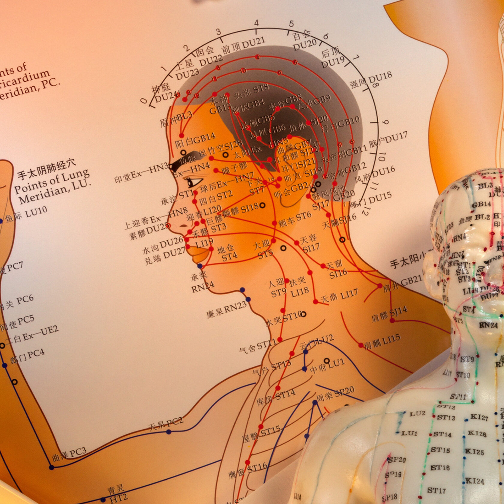 Akupunkturpunkte am Kopf