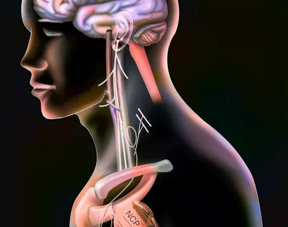 KI-Darstellung eines Menschen im Querschnitt mit Fokus auf Gehirn und Nervenbahnen.