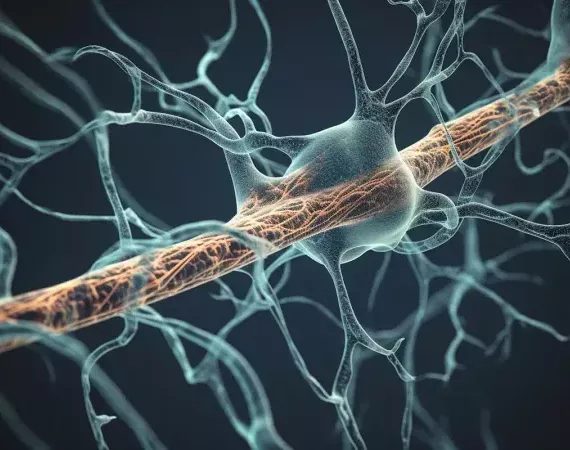 Nervenzelle-Motoneuron
