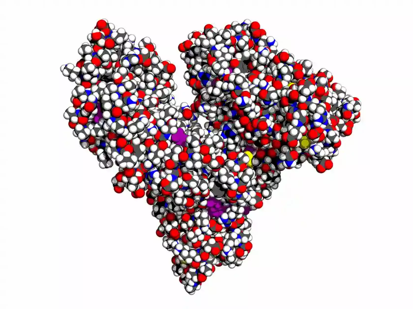 3D-Molekülmodell von humanem Serum-Albumin
