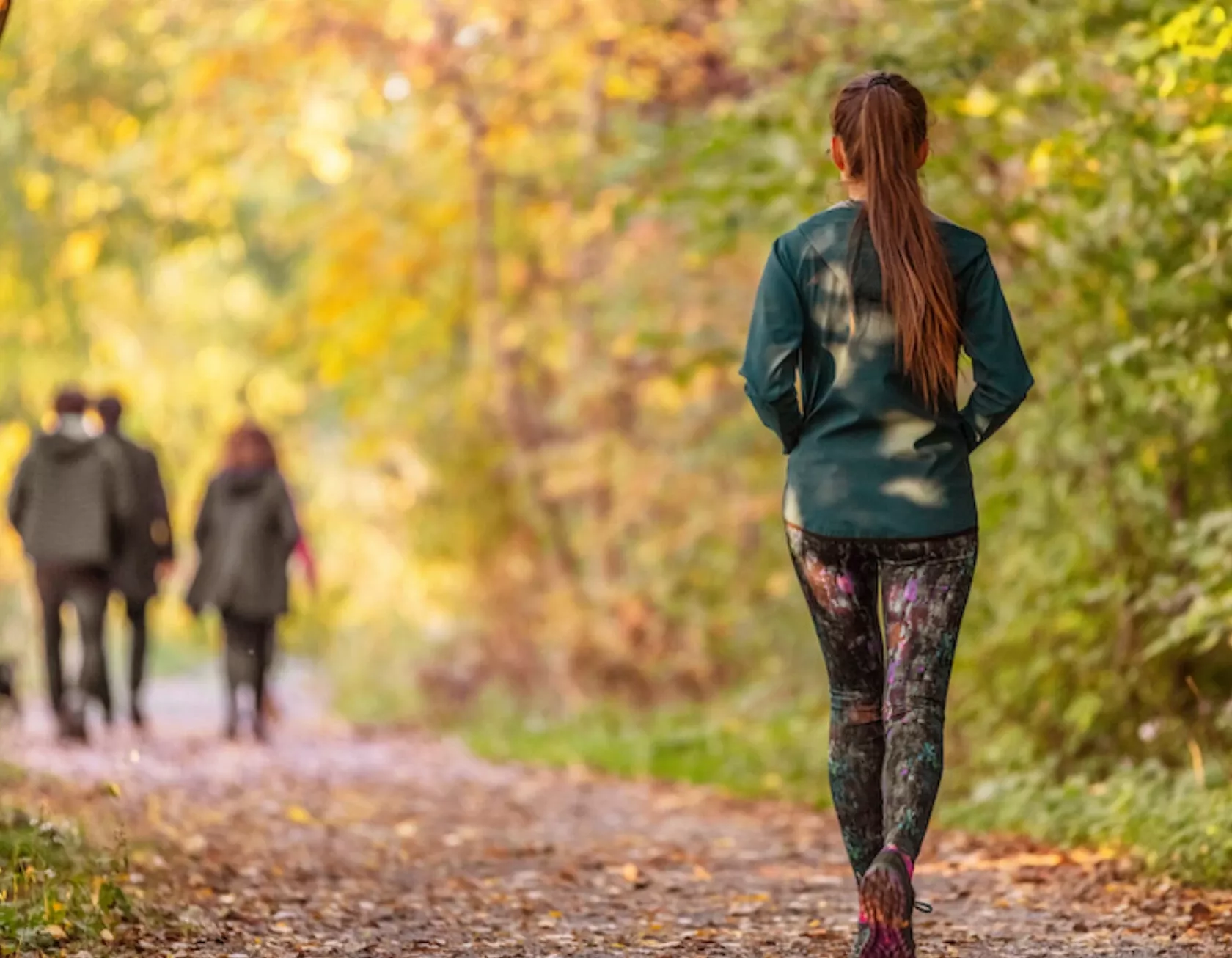 Spaziergänger laufen auf einem Weg in einem sonnendurchfluteten Herbstwald mit gelben und grünen Blättern