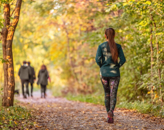 Spaziergänger laufen auf einem Weg in einem sonnendurchfluteten Herbstwald mit gelben und grünen Blättern